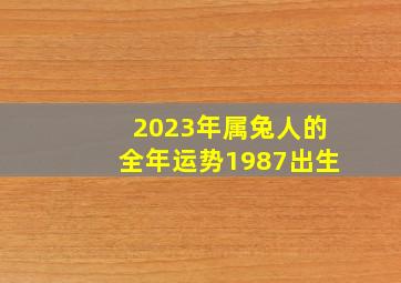 2023年属兔人的全年运势1987出生