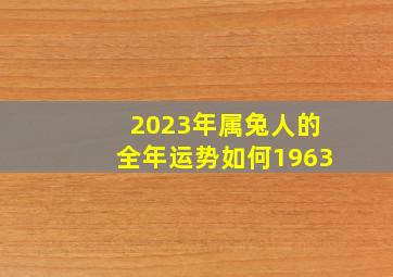 2023年属兔人的全年运势如何1963