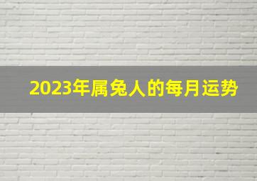 2023年属兔人的每月运势