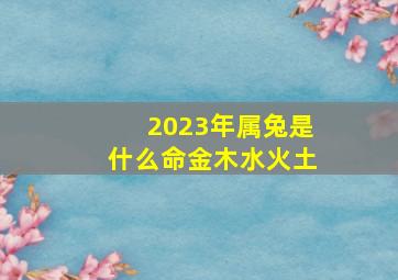 2023年属兔是什么命金木水火土