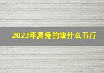 2023年属兔的缺什么五行