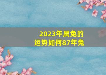 2023年属兔的运势如何87年兔