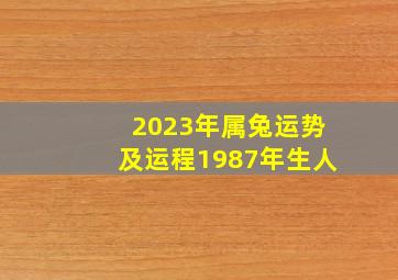 2023年属兔运势及运程1987年生人