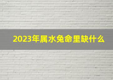 2023年属水兔命里缺什么