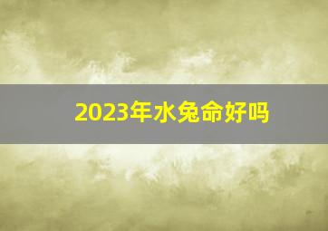 2023年水兔命好吗