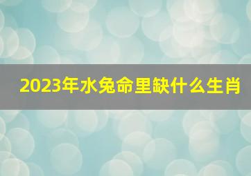 2023年水兔命里缺什么生肖