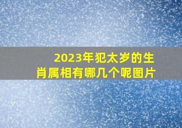 2023年犯太岁的生肖属相有哪几个呢图片