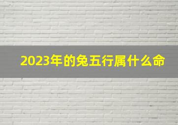 2023年的兔五行属什么命