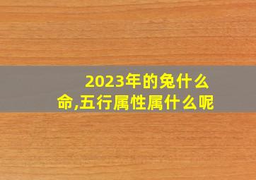 2023年的兔什么命,五行属性属什么呢