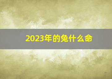 2023年的兔什么命