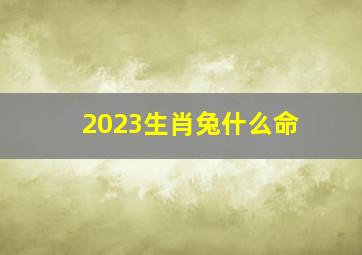 2023生肖兔什么命