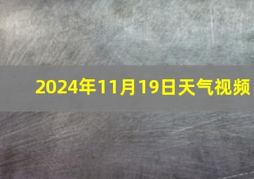 2024年11月19日天气视频