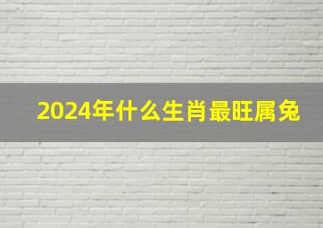 2024年什么生肖最旺属兔