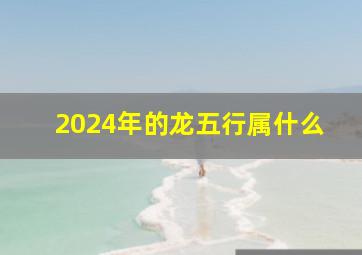 2024年的龙五行属什么