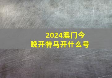 2024澳门今晚开特马开什么号