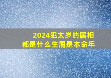 2024犯太岁的属相都是什么生屑是本命年