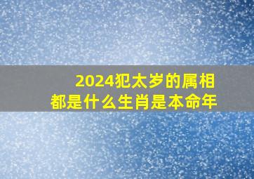 2024犯太岁的属相都是什么生肖是本命年