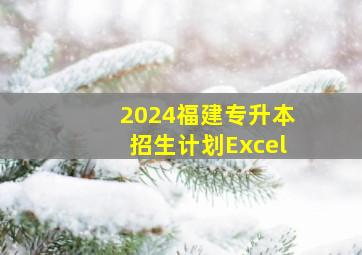 2024福建专升本招生计划Excel