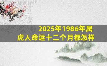 2025年1986年属虎人命运十二个月都怎样