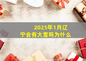 2025年1月辽宁会有大雪吗为什么