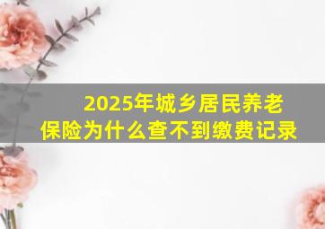 2025年城乡居民养老保险为什么查不到缴费记录