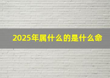 2025年属什么的是什么命