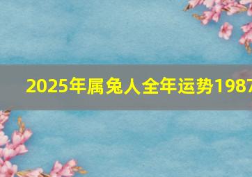 2025年属兔人全年运势1987