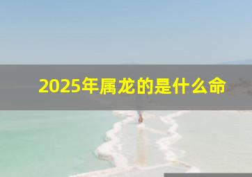 2025年属龙的是什么命