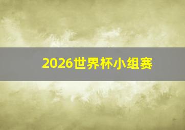 2026世界杯小组赛