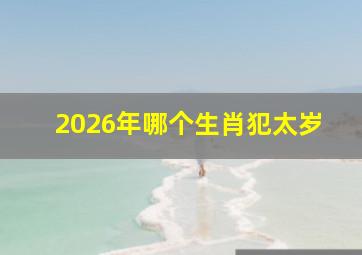 2026年哪个生肖犯太岁