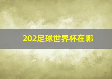 202足球世界杯在哪