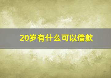 20岁有什么可以借款