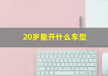 20岁能开什么车型