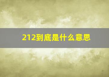 212到底是什么意思