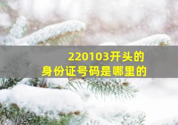 220103开头的身份证号码是哪里的