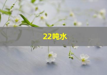 22吨水