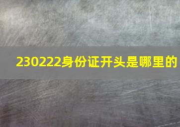 230222身份证开头是哪里的