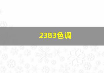 2383色调