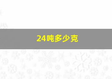 24吨多少克