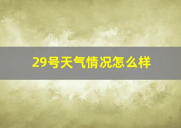 29号天气情况怎么样