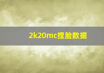 2k20mc捏脸数据