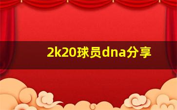 2k20球员dna分享