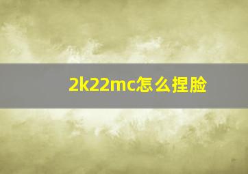 2k22mc怎么捏脸