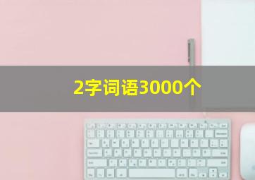 2字词语3000个