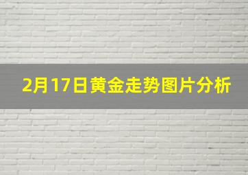 2月17日黄金走势图片分析