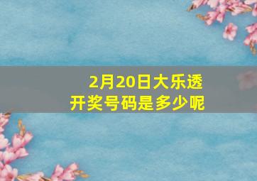 2月20日大乐透开奖号码是多少呢