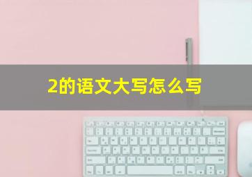 2的语文大写怎么写