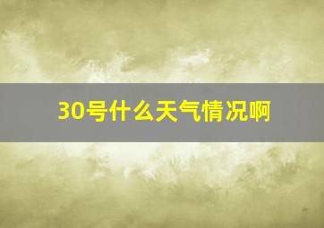 30号什么天气情况啊