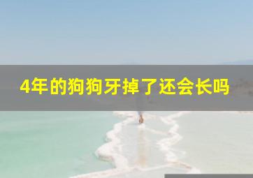 4年的狗狗牙掉了还会长吗