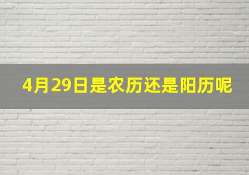 4月29日是农历还是阳历呢